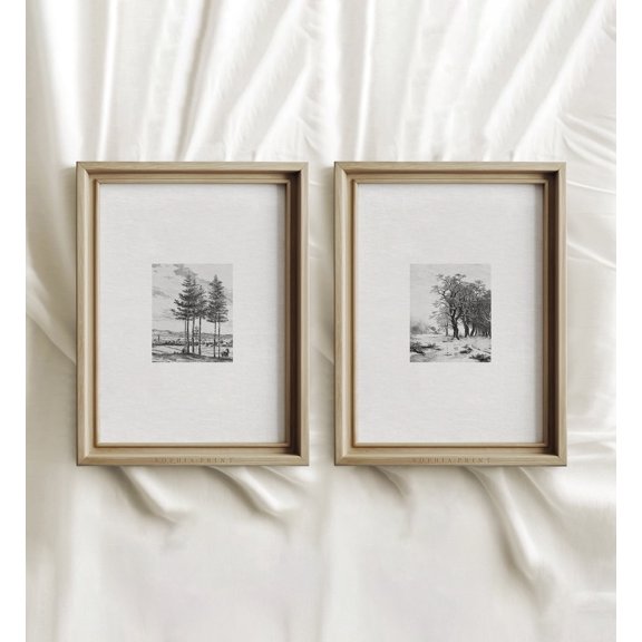 Vintage Etching Print Set Tree Sketch Art Forest Drawing MAILED ART PRINTS 9 Set 2