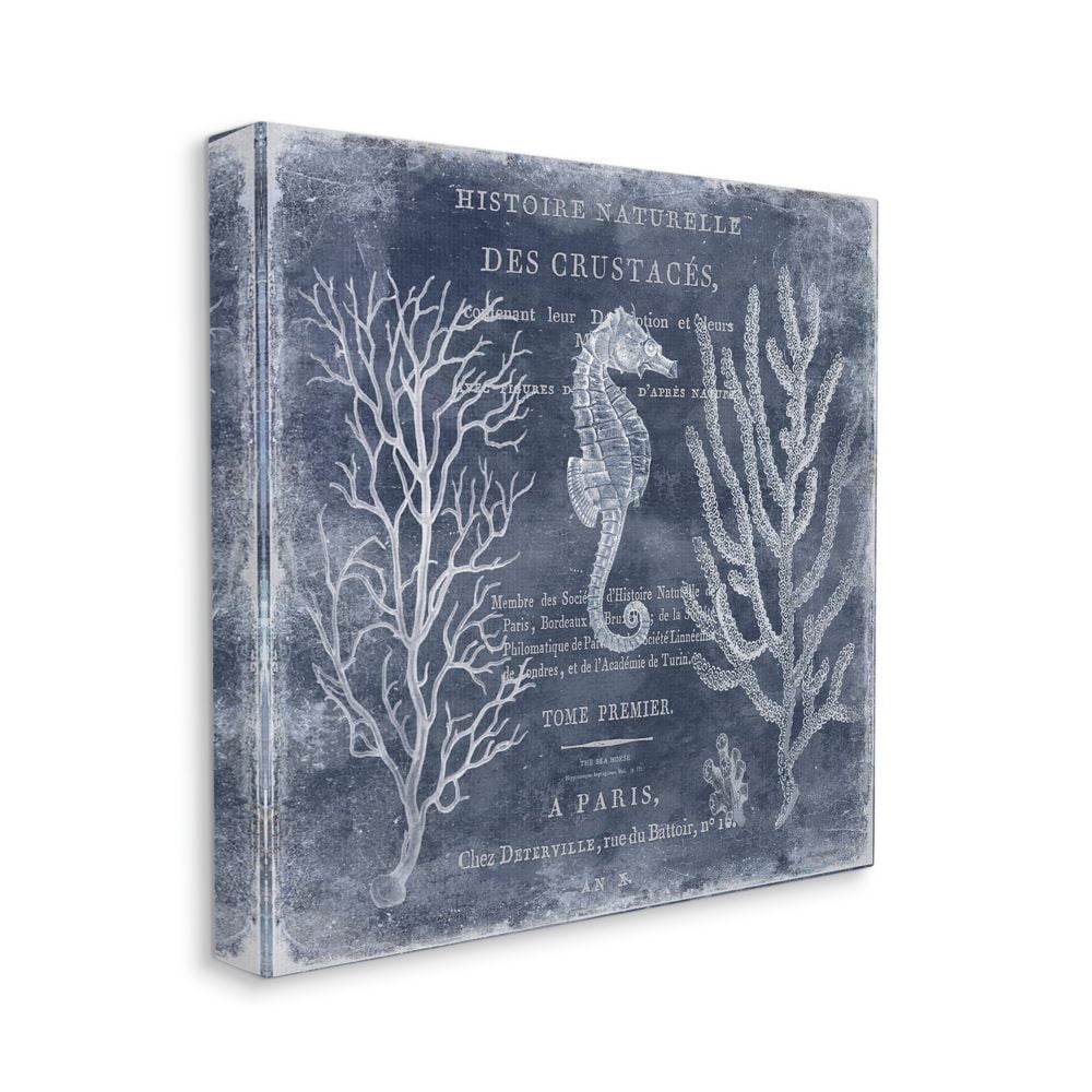 Vintage European Seahorse Design Coastal Gallery-Wrapped Canvas Print Wall Art, 17x17