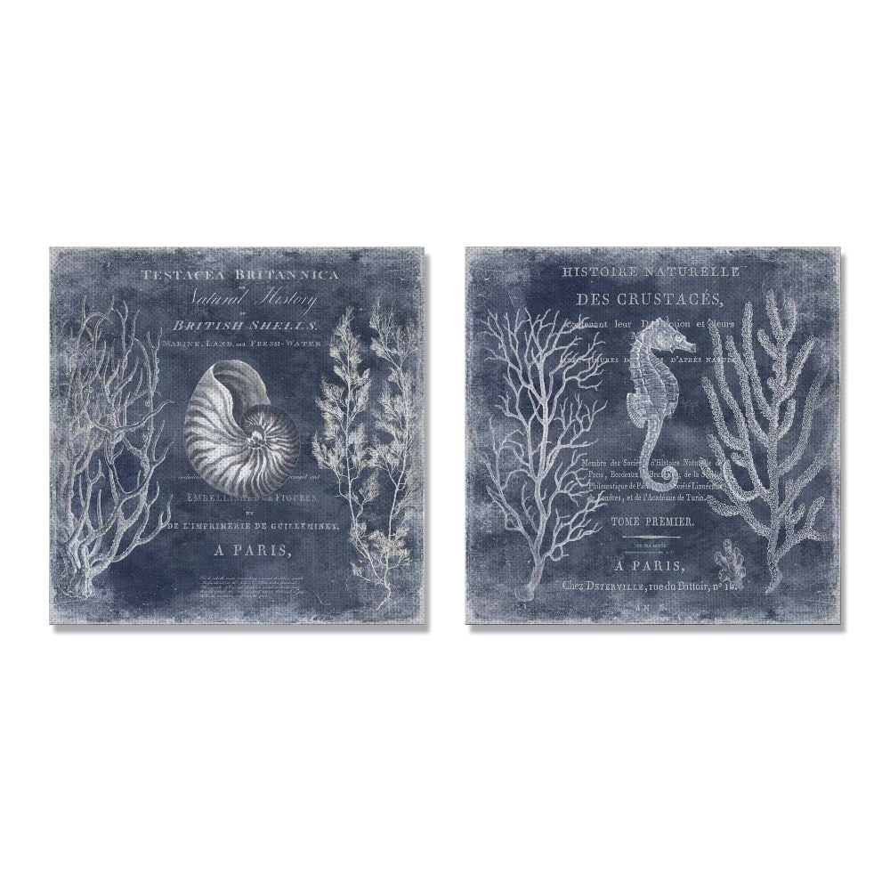 Vintage European Shells and Seahorse Design Coastal Gallery-Wrapped Canvas Print Wall Art, Set of 2, 17x17