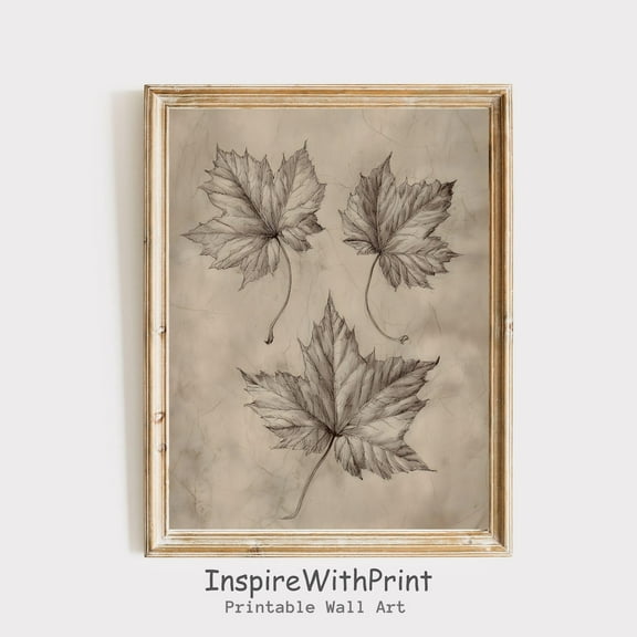 Vintage Fall Botanical Leaves Sketch Poster Maple Leaf Drawing, Fall Foliage Poster Rustic Farmhouse Fall Art, Neutral Fall Cottagecore Art, Size 24x36 UNFFRAMED F03.1.6l315
