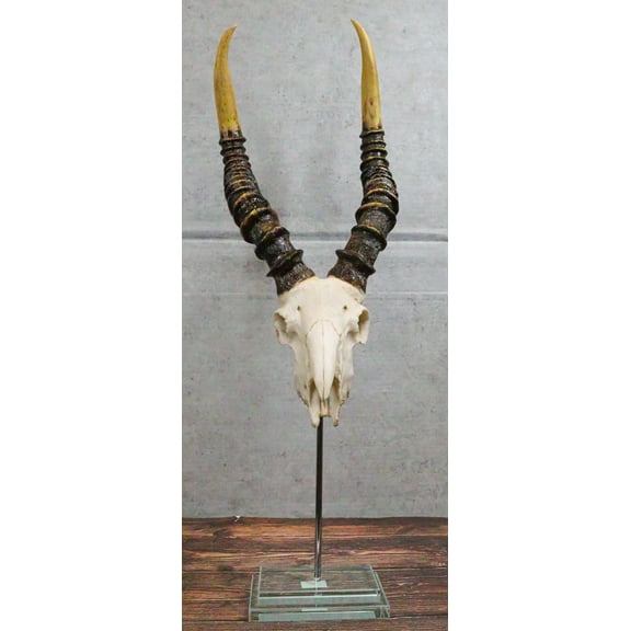 Vintage Faux Taxidermy Kudu Antelope Skull On Museum Pole Mount With Glass Base