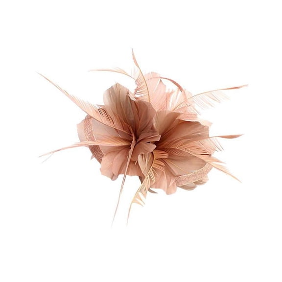 Vintage Feather Fascinator 1920' Hair Clips - Pink,