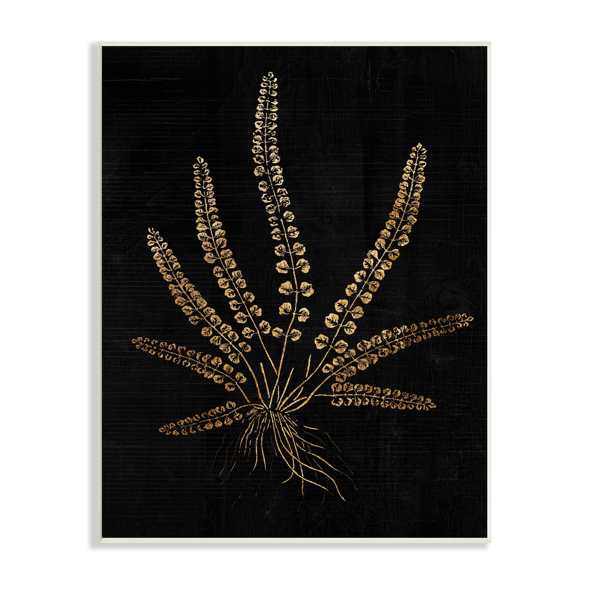 Vintage Fern Blades Rooted Forest Plant Illustration 13 in x 19 in Framed Painting Art Print, by Stupell Home Décor