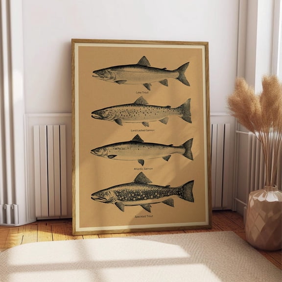 Vintage Fish Identification Chart Poster - Lake Trout Atlantic Salmon Art Print 12x18 UNFRAMED