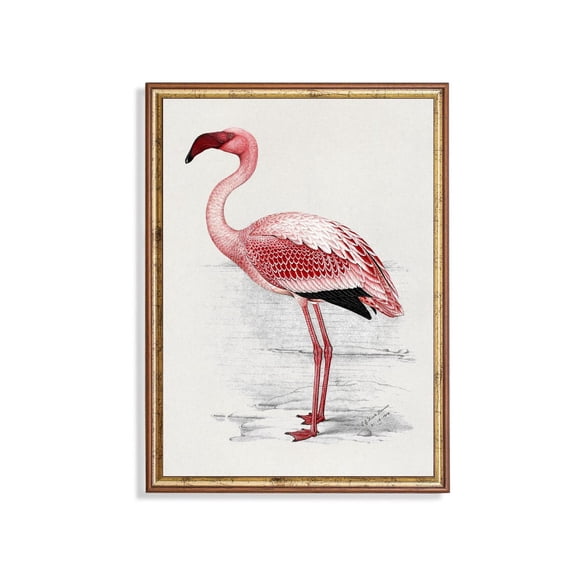 Vintage Flamingo Poster Rustic Farmhouse Wall Art Unframed Paper Print