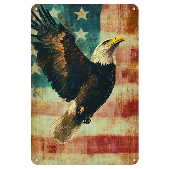 Vintage in Flight Wall Art Decor - Patriotic Stars and Stripes Background, Distressed Iron, Easy-to-Hang, No Power Needed - Ideal for Home, Office, and Holiday Decorations