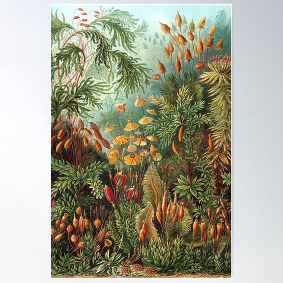 Vintage Flora And Fauna In Mystical Forest Poster Wall Art, Modern Wall Decor For Living Room Bedroom, 24x36 UNFRAMED