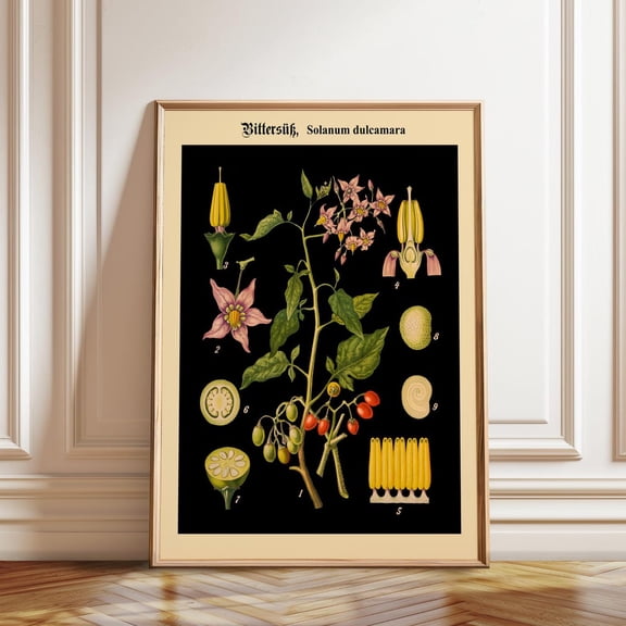 Vintage Floral Botanical Chart Nature Wall Decoration, Unframed Paper Poster 8x10in