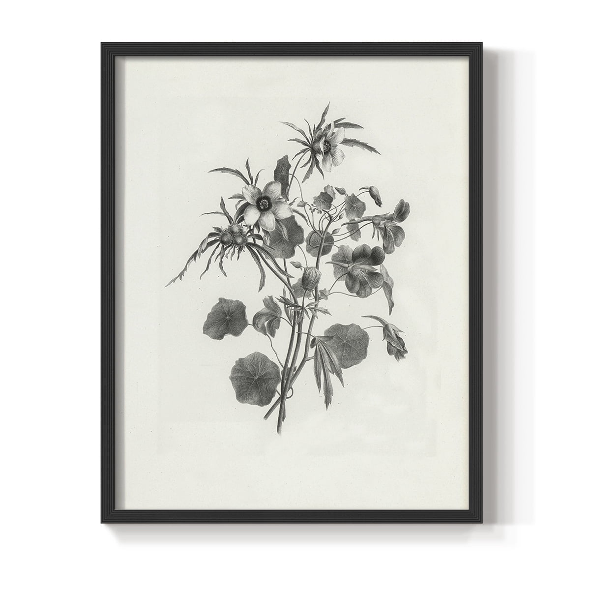 Vintage Floral Print CCCXXXVI - 14in. x 11in. Vintage Framed Print in Black Wood Frame