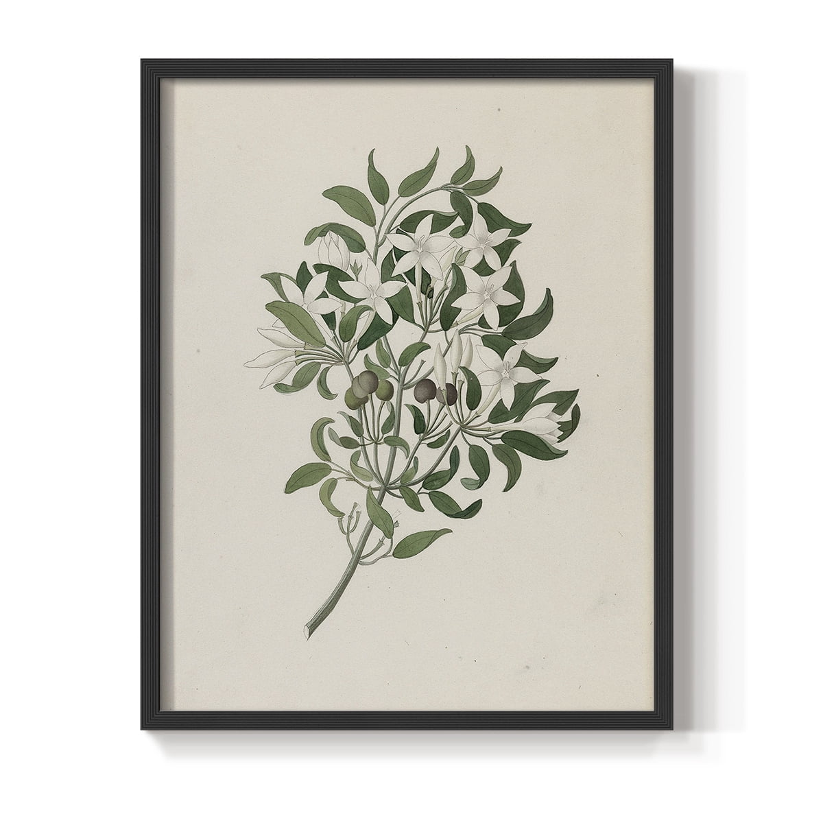 Vintage Floral Print CXLII - 14in. x 11in. Vintage Framed Print in Black Wood Frame