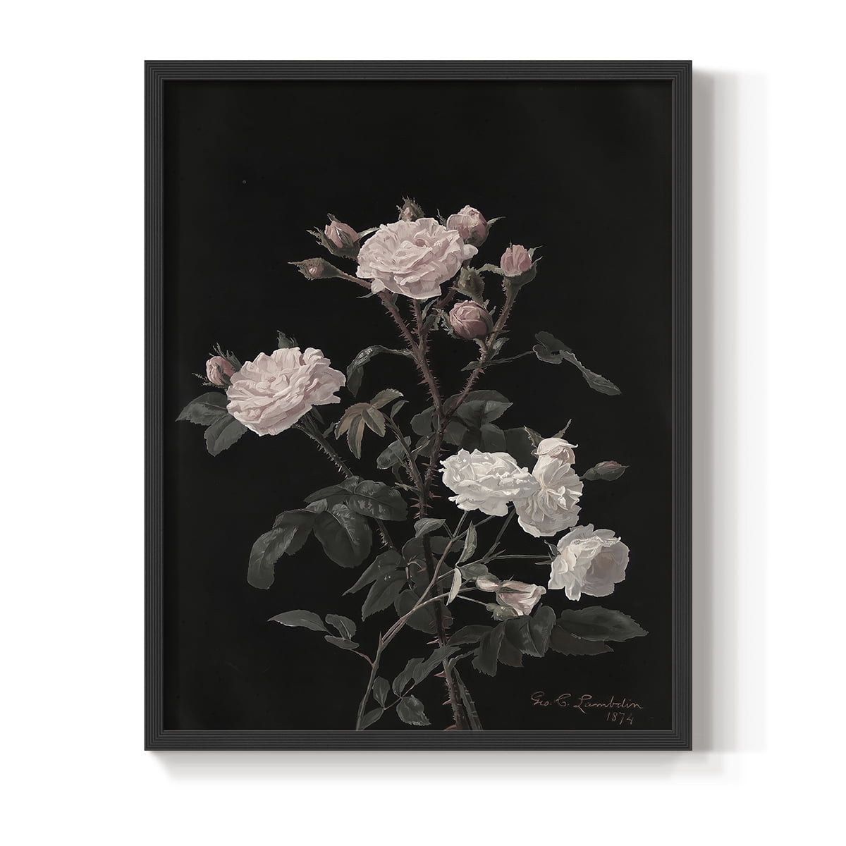 Vintage Floral Print LXXXII - 14in. x 11in. Vintage Framed Print in Black Wood Frame