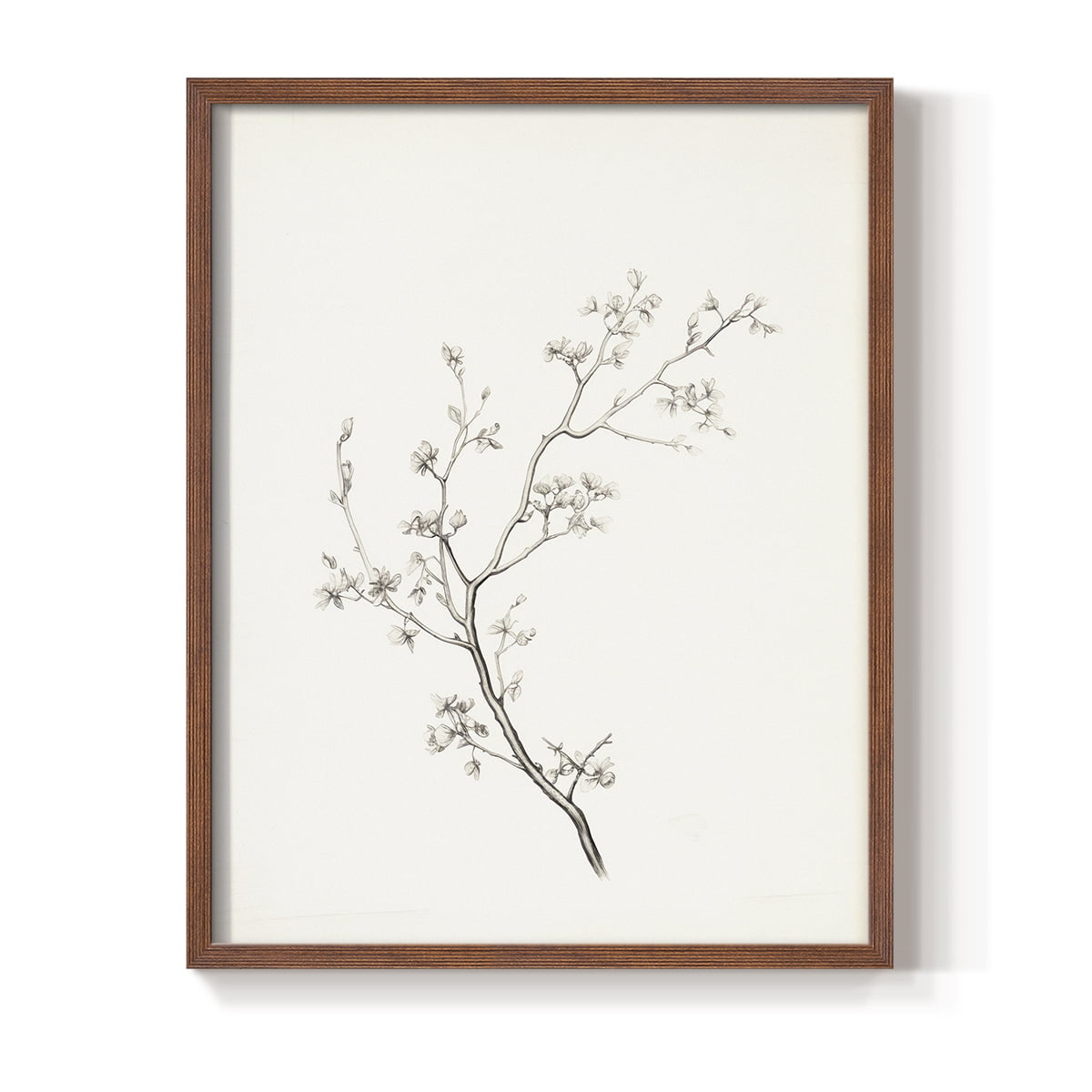 Vintage Floral Print V - 10in. x 8in. Vintage Framed Print in Walnut Wood Frame
