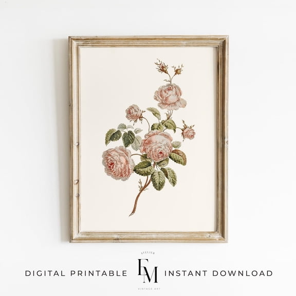 Vintage Floral Rose Botanical Print Wall Art UNFRAMED PAPER POSTER, Home Decor