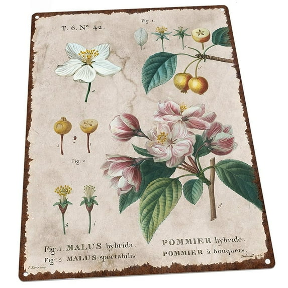 Vintage Flower Encyclopedia, Crabapple 9"x12" Metal Sign, Wall Decor for Seasonal Ocassions