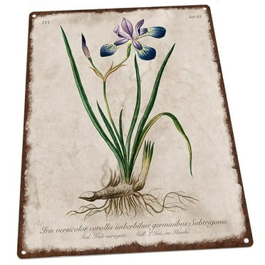 Vintage Flower Encyclopedia, Iris 9"x12" Metal Sign, Wall Decor for Vacation Home