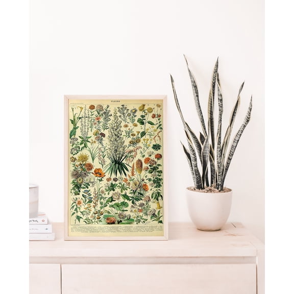 Vintage Flower Poster, Adolphe Millot Poster, Botanical Illustration, Vintage Wall Art, Bedroom Wall Decor, Stretched Canvas Size 12x18