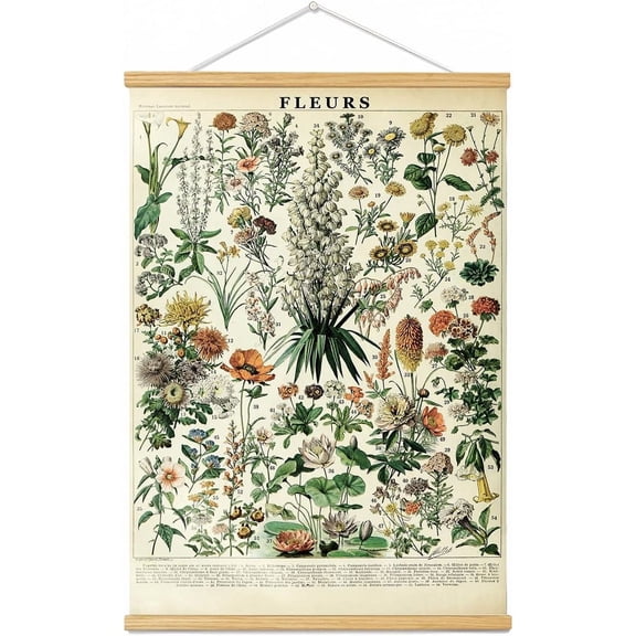Vintage Flowers Poster Hanger Frame, Plant Floral Reference Chart Wall Decor Cottagecore Room Decor Aesthetic, Retro Style Wall Decor Art Painting Prints