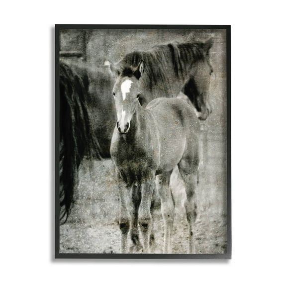Vintage Foal Horse Farmland Animals & Insects Graphic Art Black Framed Art Print Wall Art