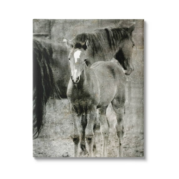 Vintage Foal Horse Farmland Animals & Insects Graphic Art Gallery Wrapped Canvas Print Wall Art