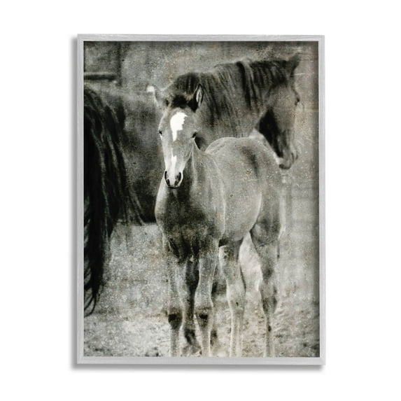 Vintage Foal Horse Farmland Animals & Insects Graphic Art Gray Framed Art Print Wall Art