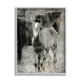 thumbnail image 1 of Vintage Foal Horse Farmland Animals & Insects Graphic Art Gray Framed Art Print Wall Art, 1 of 7