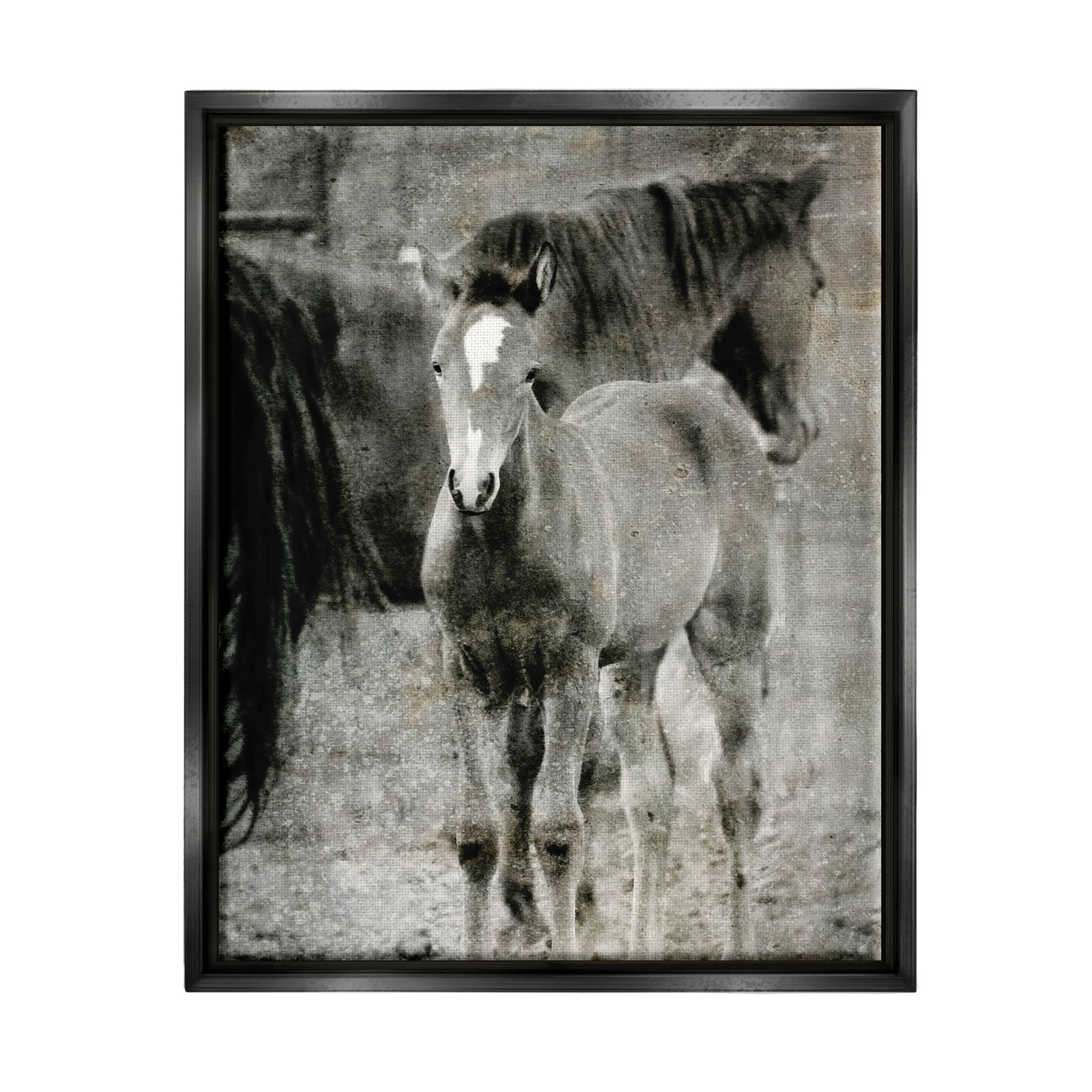 Vintage Foal Horse Farmland Animals & Insects Graphic Art Jet Black Framed Art Print Wall Art