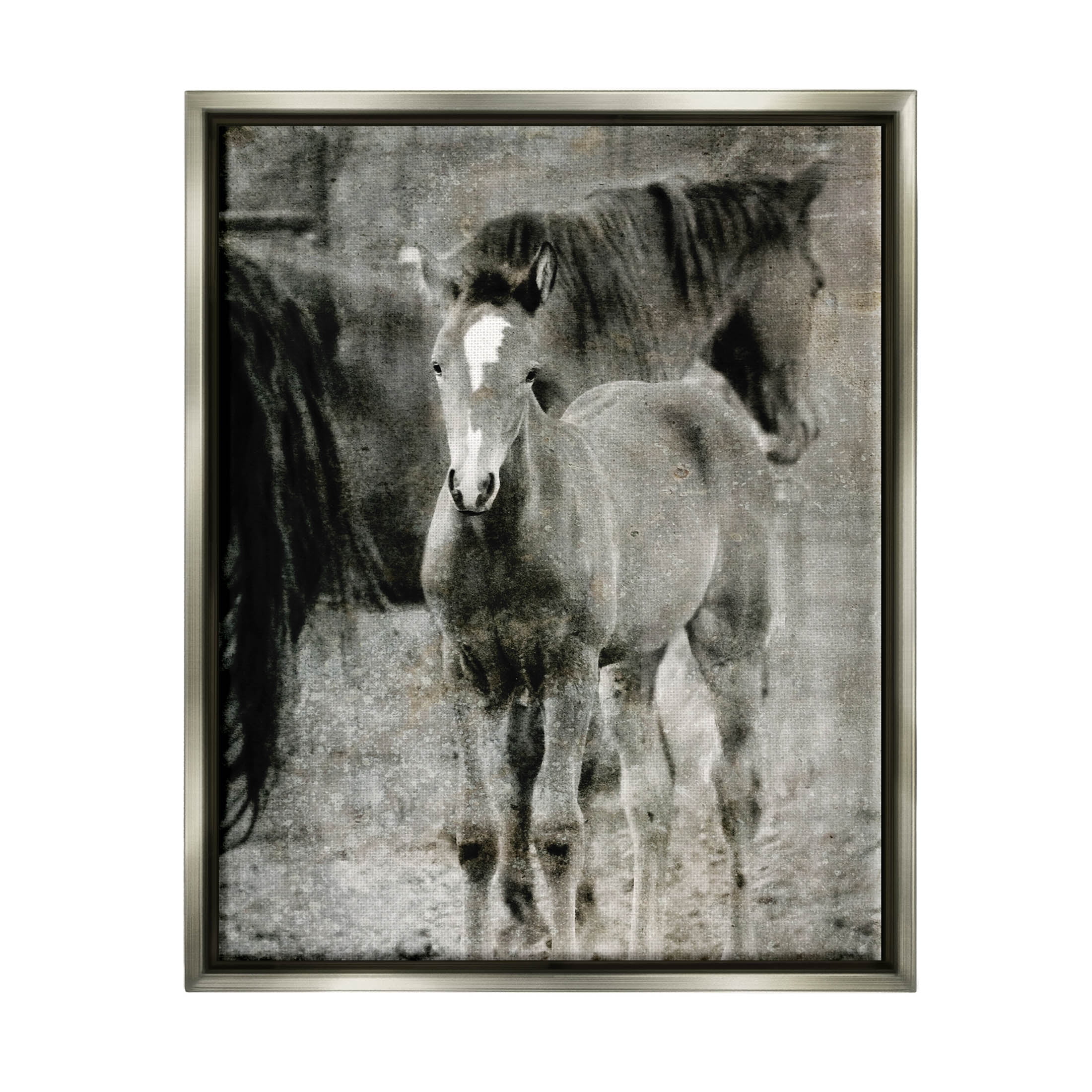 Vintage Foal Horse Farmland Animals & Insects Graphic Art Luster Gray Framed Art Print Wall Art