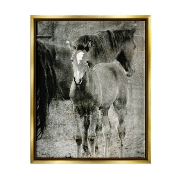 Vintage Foal Horse Farmland Animals & Insects Graphic Art Metallic Gold Framed Art Print Wall Art