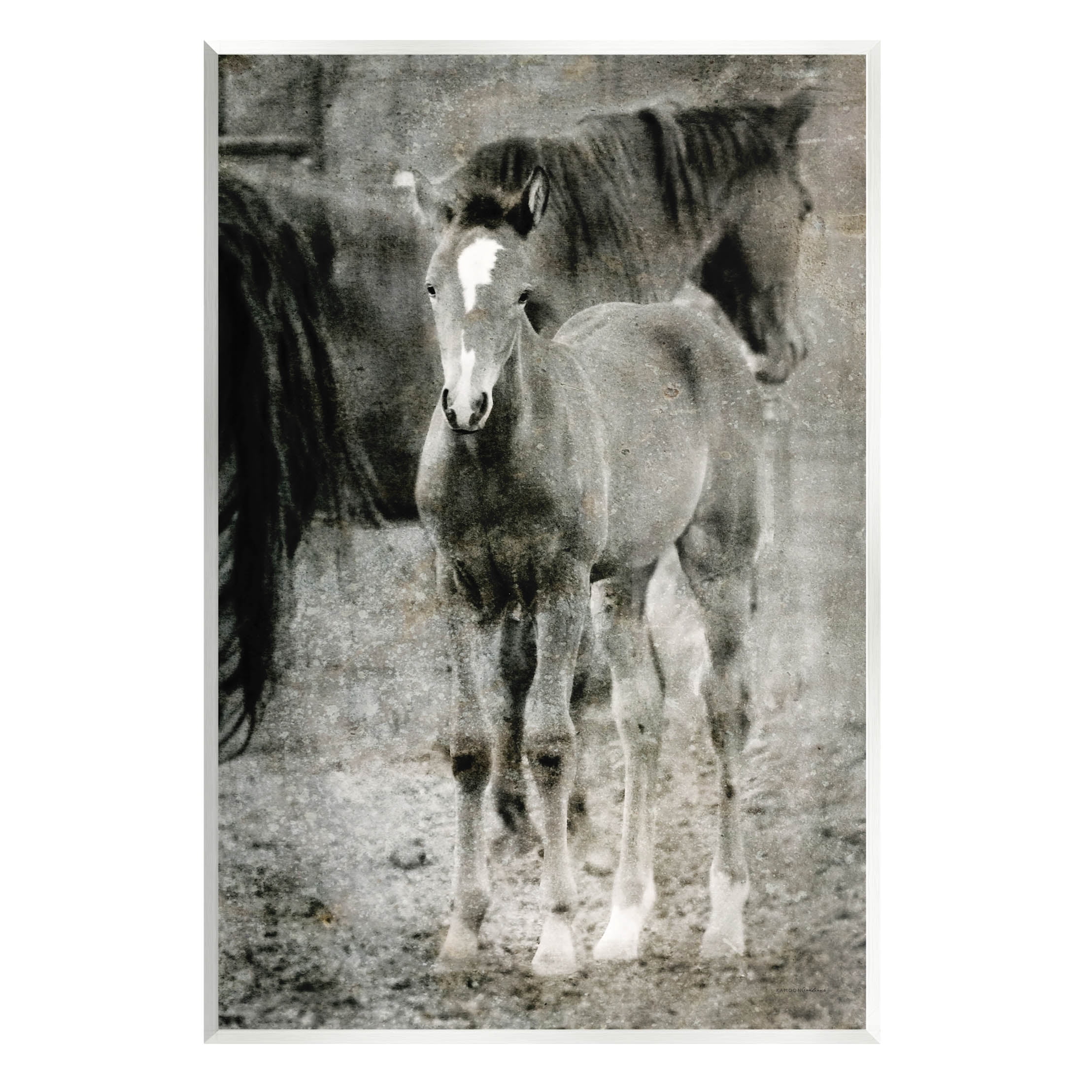 Vintage Foal Horse Farmland Animals & Insects Graphic Art Unframed Art Print Wall Art