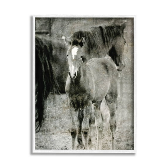 Vintage Foal Horse Farmland Animals & Insects Graphic Art White Framed Art Print Wall Art