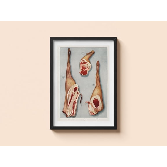 Vintage Food Poster Lamb Chops Butcher Kitchen Wall Art, Unframed Paper Poster 8x10in
