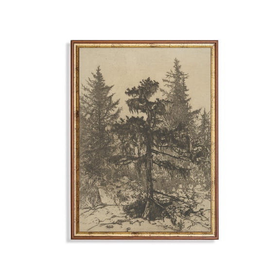 Vintage Forest Etching Poster Rustic Woodland Tree Art Unframed Paper Print