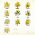 thumbnail image 1 of Vintage Four Seasons Scrapbook Sticker Set For Junk Journal And DIY Craft Decoration - Autumn Rain, 1 of 4