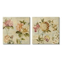 Vintage French Floral Painting with Background Script Botanical & Floral Gallery-Wrapped Canvas Print Wall Art, Set of 2, 17x17
