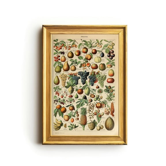 Vintage French Fruit Chart Poster, Unframed Paper Poster 16x20in