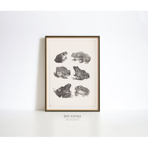 Vintage Frogs Toad Chart Poster, Unframed Size 8x12