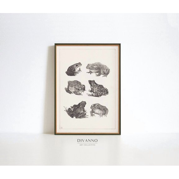 Vintage Frogs Toad Chart Unframed Paper Print