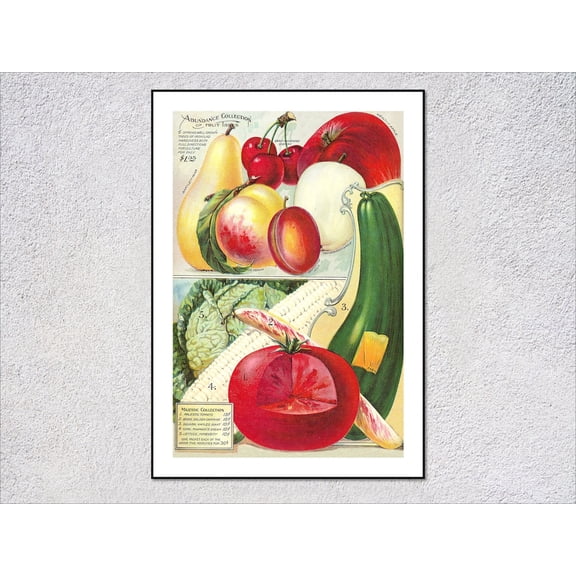 Vintage Fruit Vegetable Seed Poster, Unframed Paper Poster 8x10in