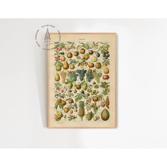 Vintage Fruits Print, Fruit Chart Poster