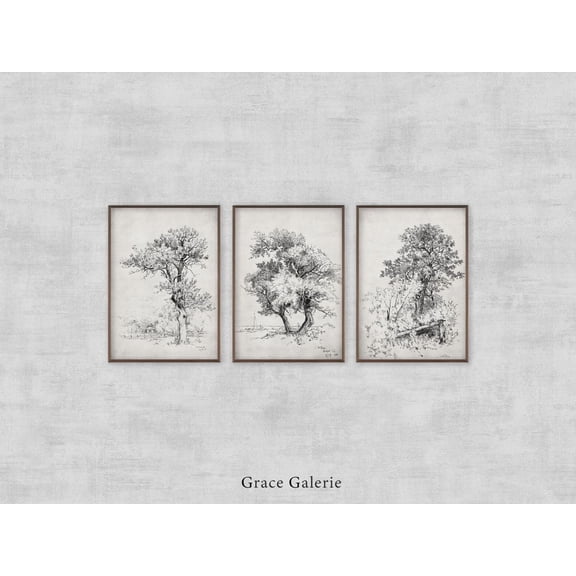 Vintage Gallery Wall Poster Set Set Tree Sketches Etching Poster Able, Poster Only