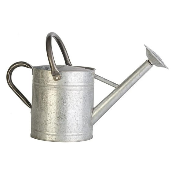 Vintage Galvanized Plant Container - 1 Gallon Aged Metal Watering Can - Garden Decor & Accessories - Rustic Farmhouse Style - Durable Powder Coated
