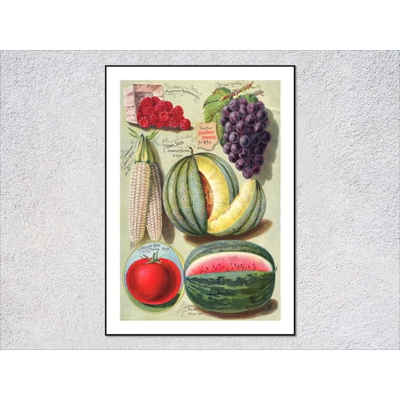 Vintage Garden Fruits Vegetables Poster, Unframed Paper Poster 8x10in