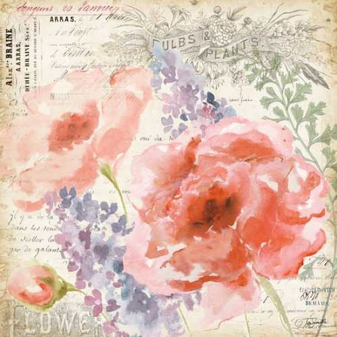 Vintage Garden II Canvas Art - Tre Sorelle Studios (24 x 24)