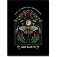 thumbnail image 1 of Vintage Gothic Wall Art Dark Academia Witchy Wall Decor Edgar Allan Poe Aesthetic Bedroom Wall Decor Retro Luna Moth Moon Wall Art Nouveau Prints Posters 16x24in Unframed, 1 of 14