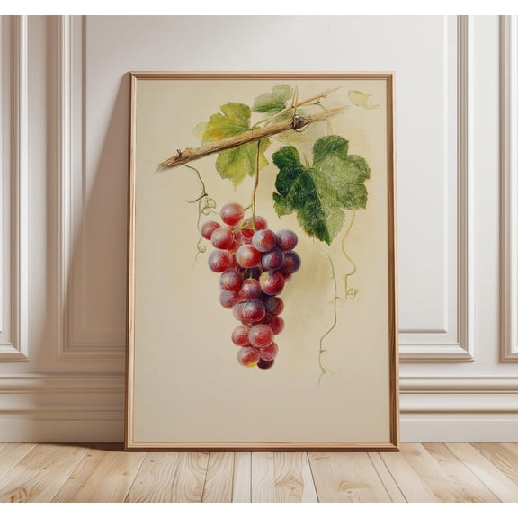 Vintage Grape Print, Rustic Kitchen Wall Art, Unframed Paper Poster 8x10in