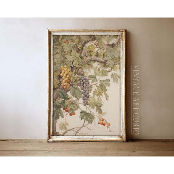 Vintage Grape Tree Art Print, Botanical Kitchen Decor Home Decor #3041, 24x36 UNFRAMED
