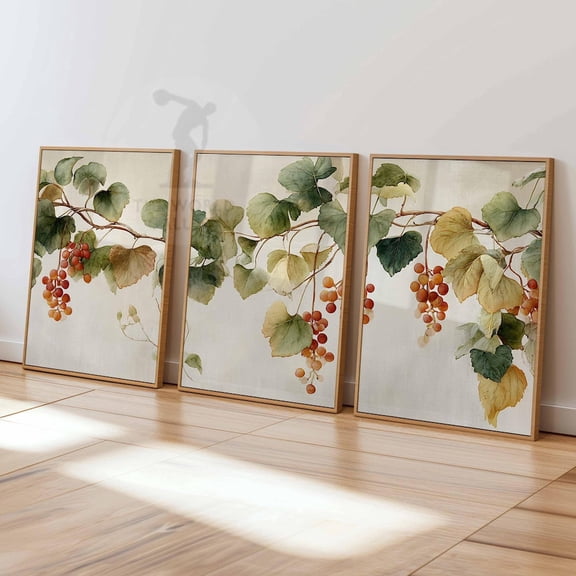 Vintage Grape Vine Fruit Botanical Rustic Kitchen Wall Art Print Set 3 Unframed Paper Print 8x12