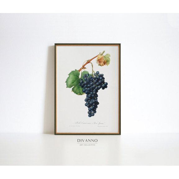Vintage Grape Vineyard Botanical Wine Poster Design 2, Unframed Size 8x12