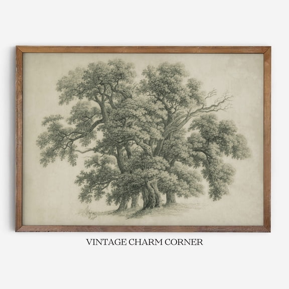 Rustic Oak Tree Pencil Sketch Poster, Unframed Size 8x12