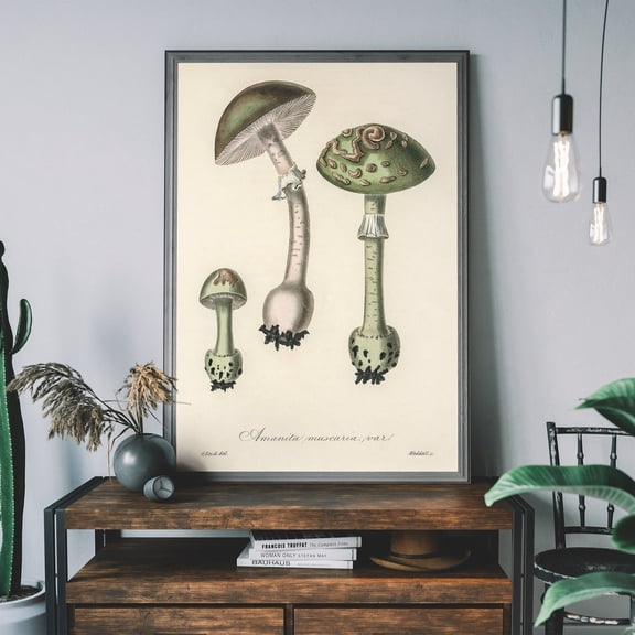 Vintage Green Mushroom Art Print, Toadstool Print, Botanical Fungi Poster, Cottagecore Home Decor Wall Art, Modern Wall Decor, 8x12 UNFRAMED